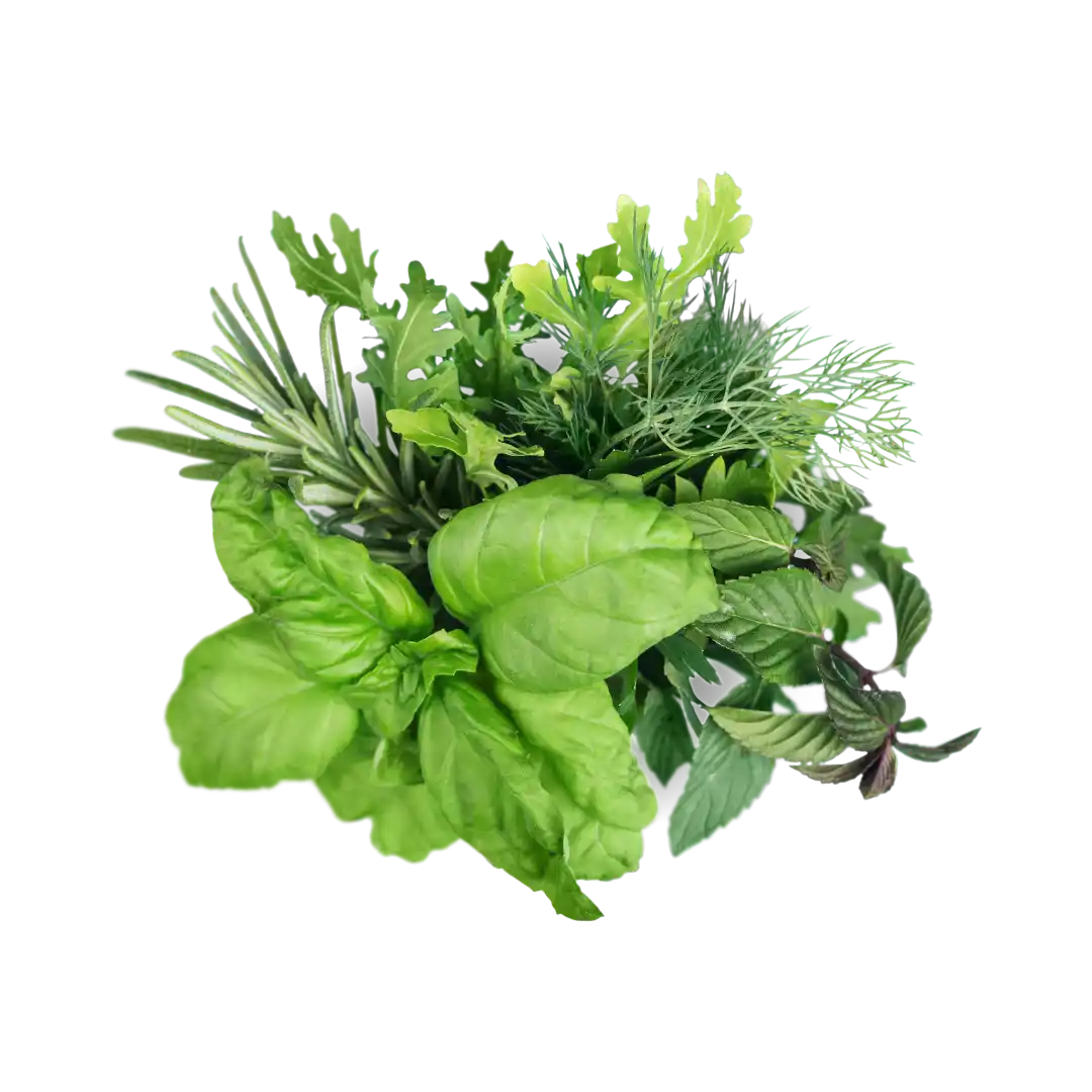 herbs