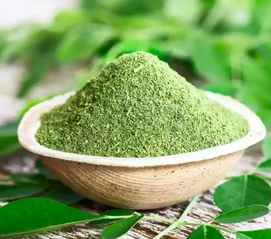 moringa