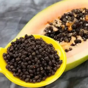Papaya Seeds