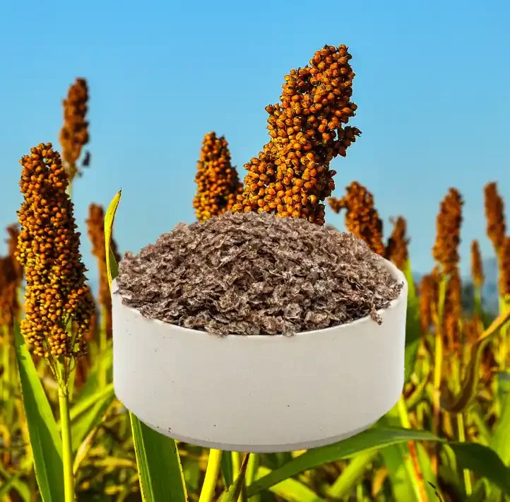 ragi
